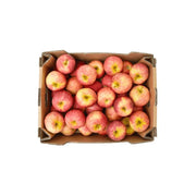 Apple Royal Gala South Africa 18 Kg Box