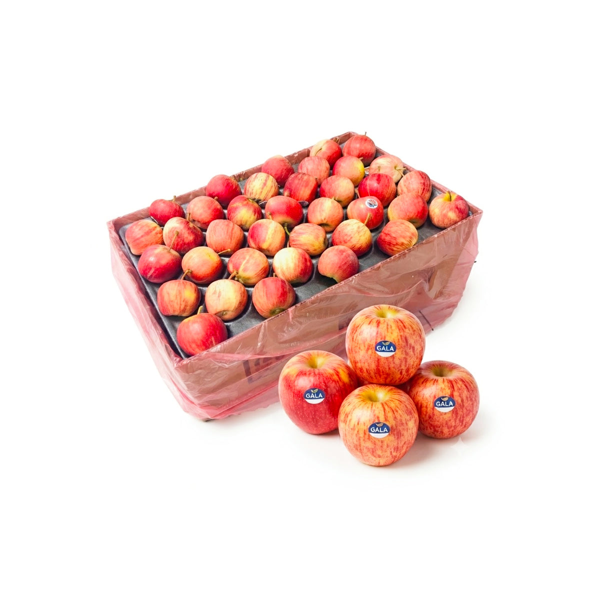 Apple Royal Gala South Africa 18 Kg Box