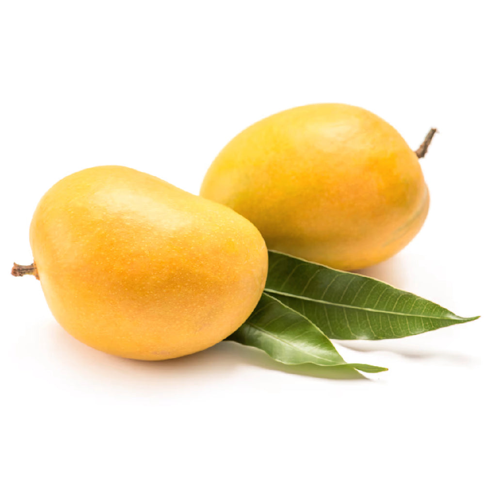 Mango Alphonso India 1.3 Kg Box