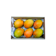 Mango Alphonso (By Air) India 3kg Box