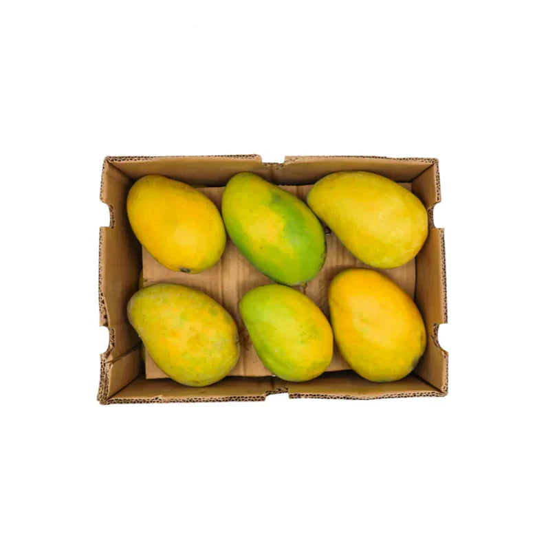 Mango Chonsia Pakistan 5 Kg Box