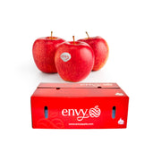 Apple Envy New Zealand 18 Kg Box