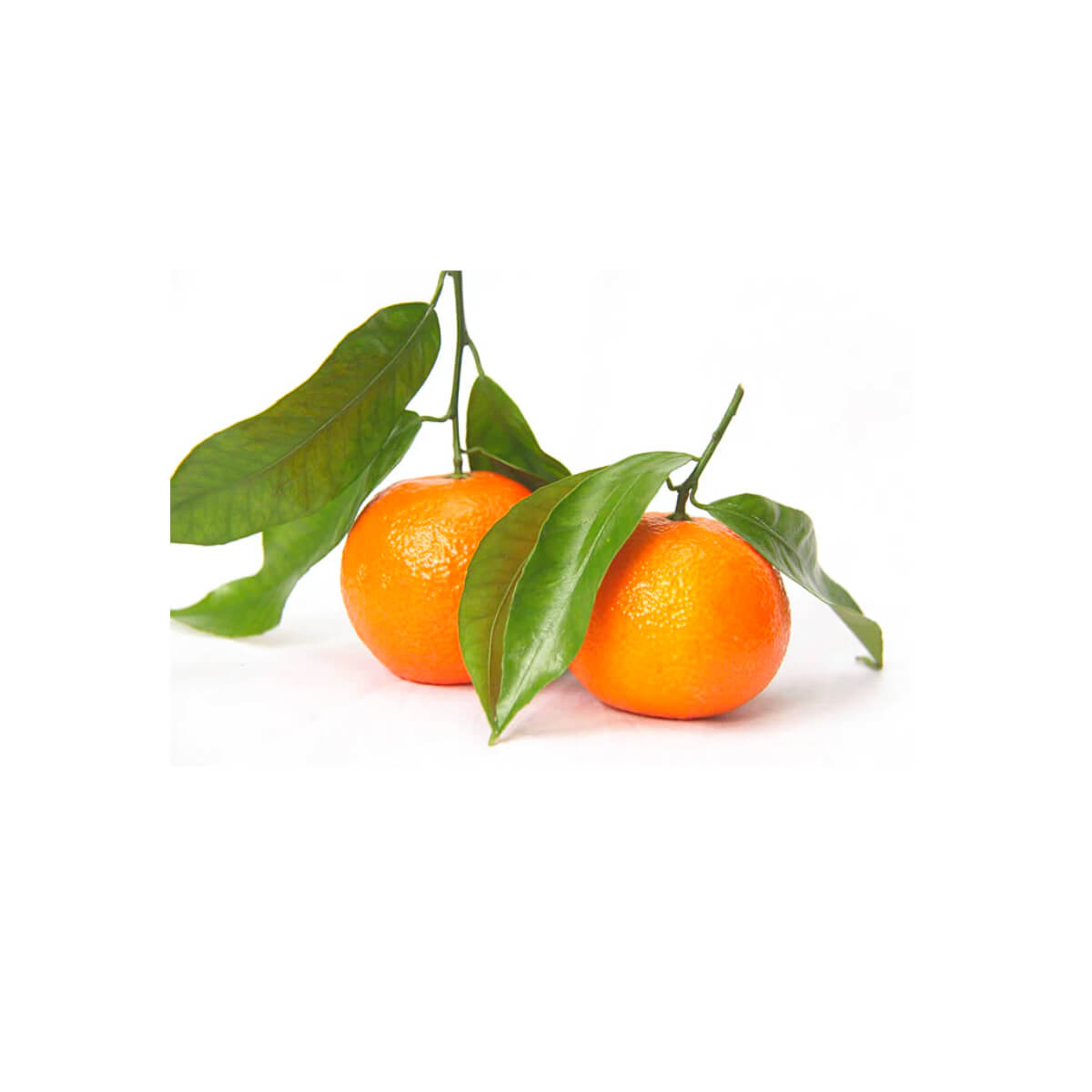 fresh clementine online, buy clementines, citrus fruit delivery, clementines with leaves, fresh citrus online, fruit delivery service, grocery fruit online, easy peel clementine, mandarin fruit online, Fresh Market fruits