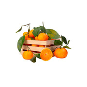 Clementine With Leaves Spain 9.5 kg Box