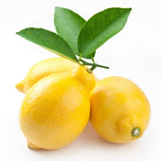 Lemon Spain 10 Kg Box