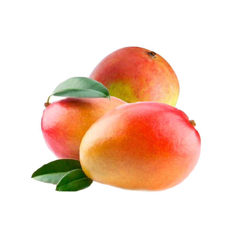 Mango Tommy South Africa 4 Kg Box