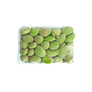 Almond Green Jordan 500g Packet