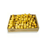 Dates Barhi Namibia 4.5 Kg Box