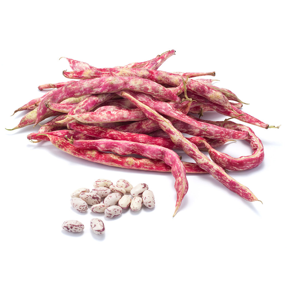 Fresh Beans Red (By Air) Lebanon 750g Pack