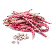 Fresh Beans Red (By Air) Lebanon 750g Pack