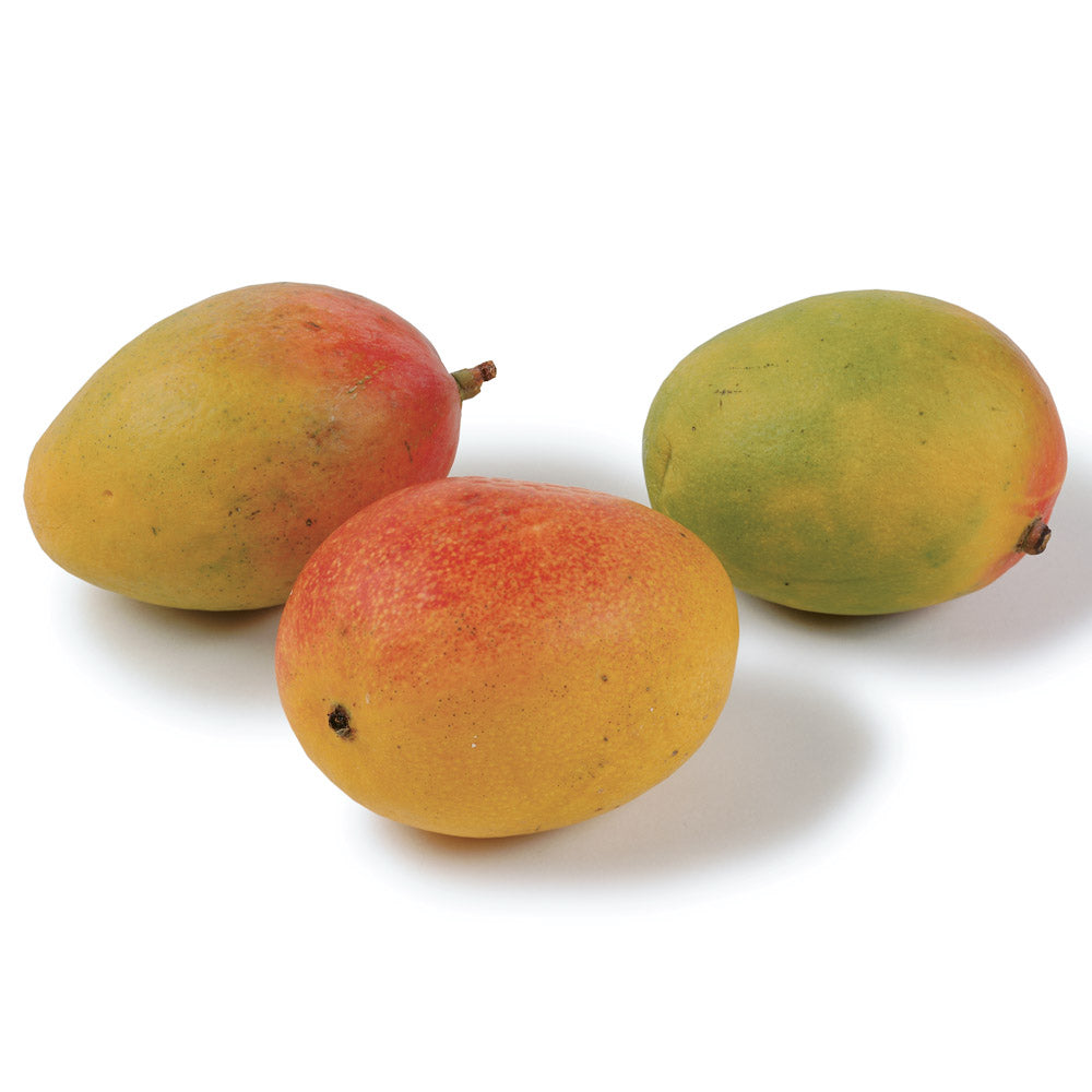 Mango Baby Ecuador 1.5 Kg Box