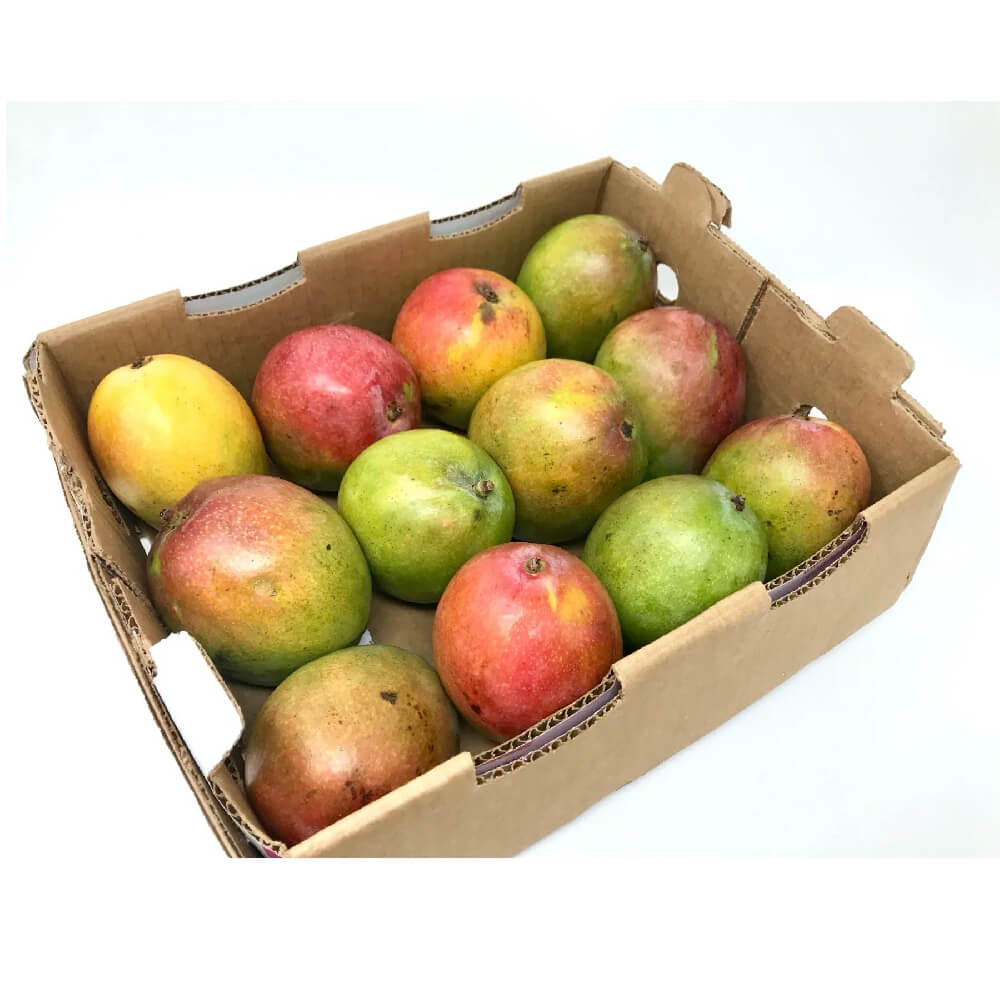 Mango Kent Brazil 4 Kg Box