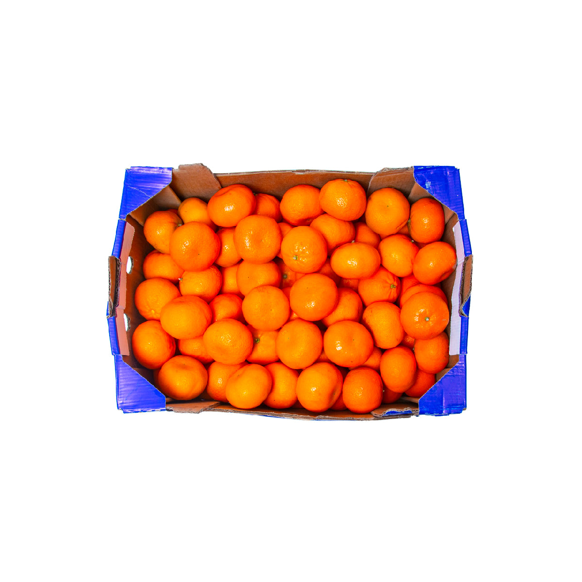 Mandarine Nadercott/Tango Egypt 8.5kg Box