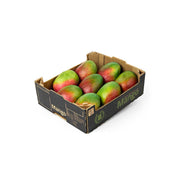 Mango Kent South Africa 4 Kg Box