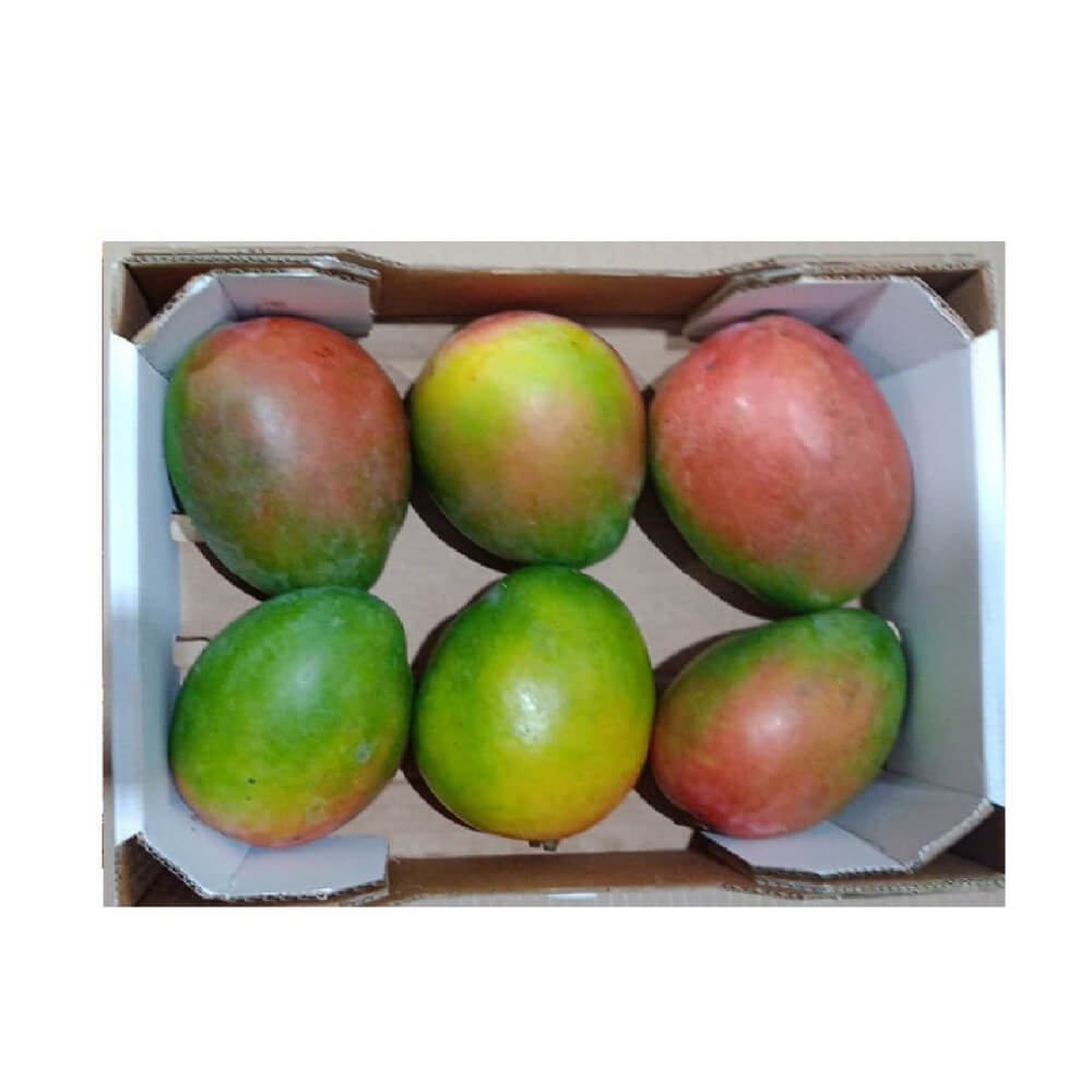 Mango Keitt Brazil 4 Kg Box