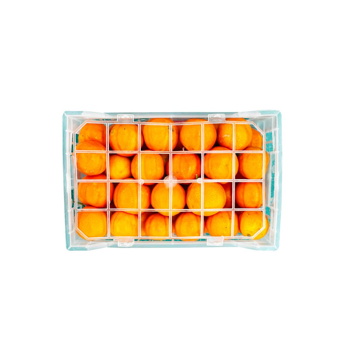 Mandarine Honey China 5.5 Kg Box