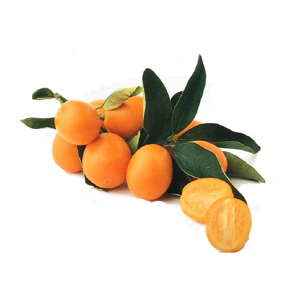 Sweet Kumquats China 2 Kg Box