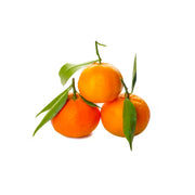 Mandarine Algeria 5.5 Kg Box