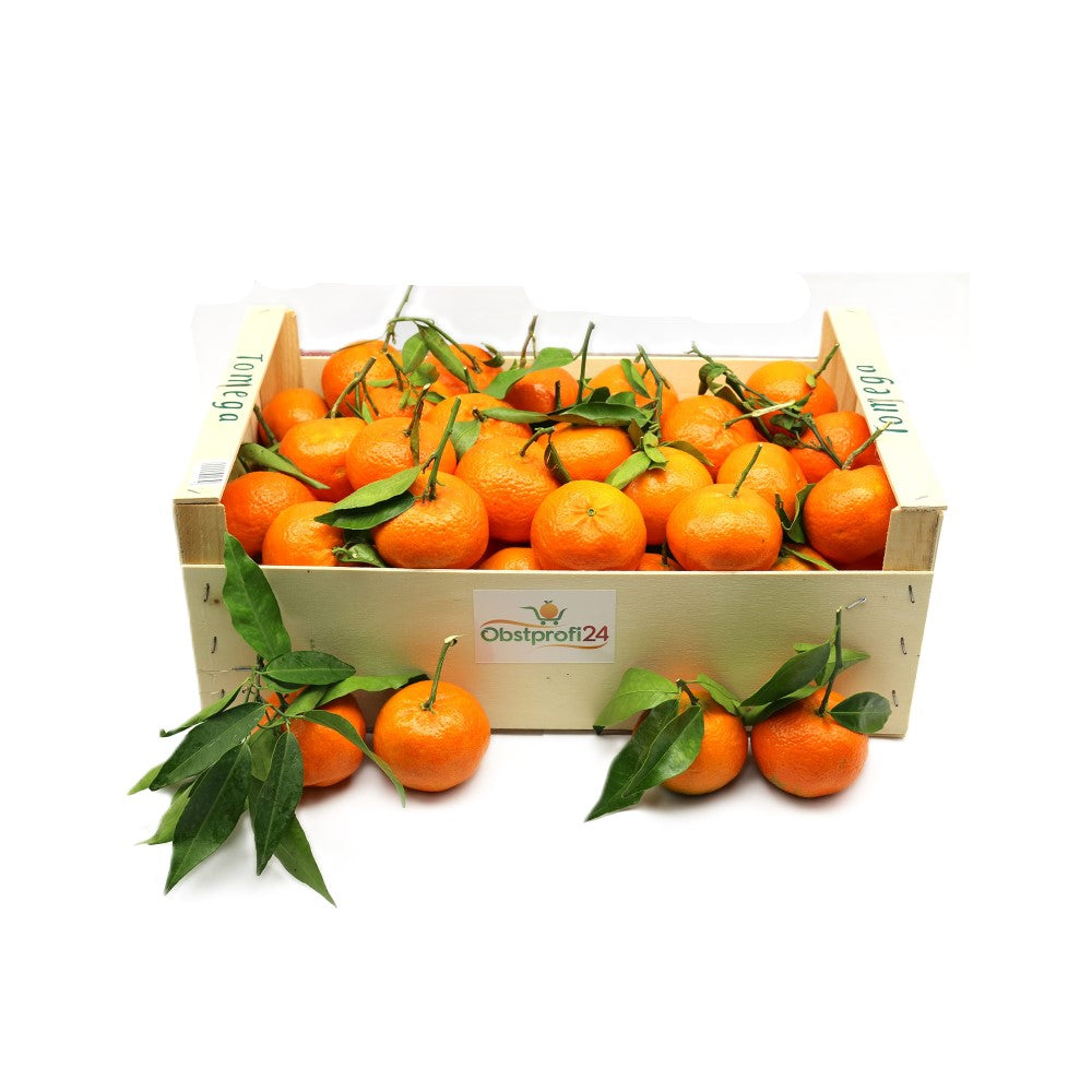 Clementine Argentina 10 Kg Box