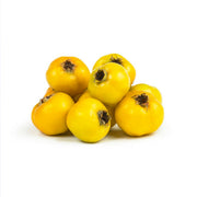 Fresh Zalzalak Iran 300g Pack