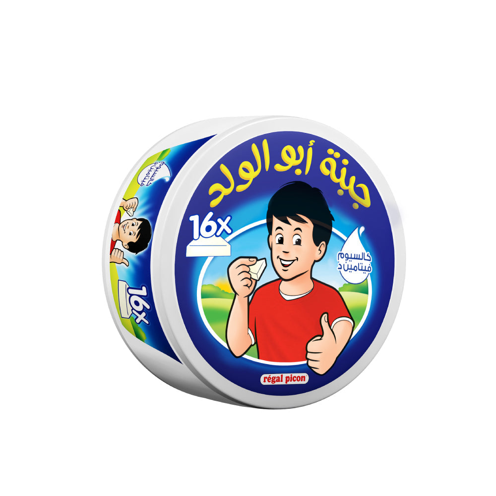 Regal Picon Cheese 16P Round Box 240Gm