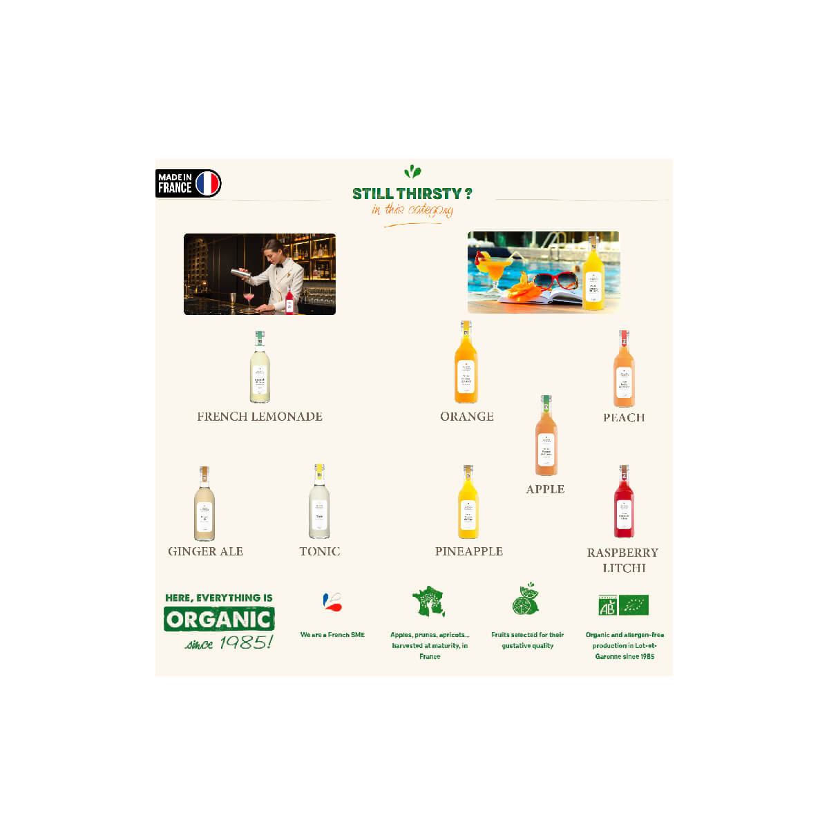 Maison Vitamont Organic Apple Juice 250ml 100% Pure France