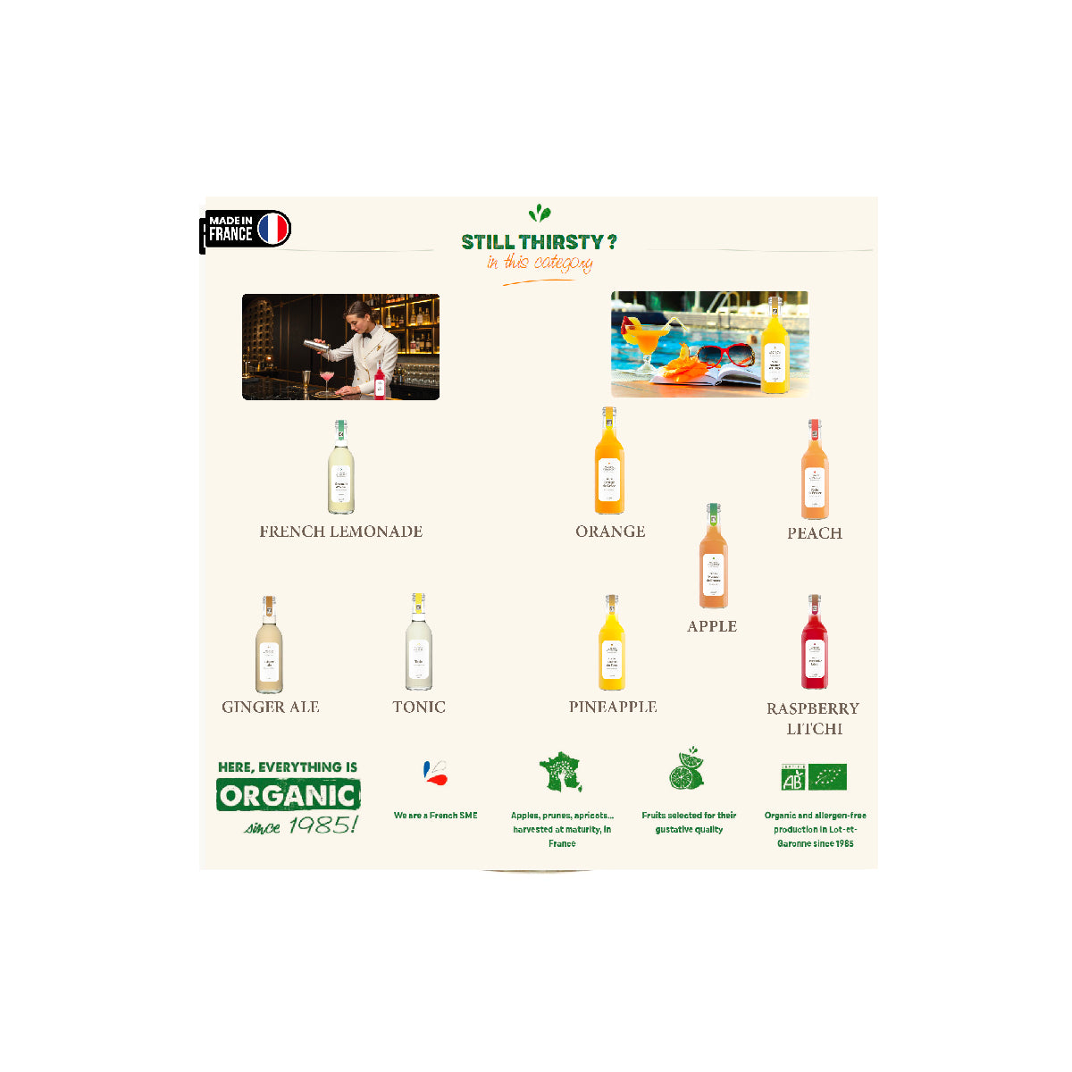 Maison Vitamont Pineapple Pure Juice 250ml