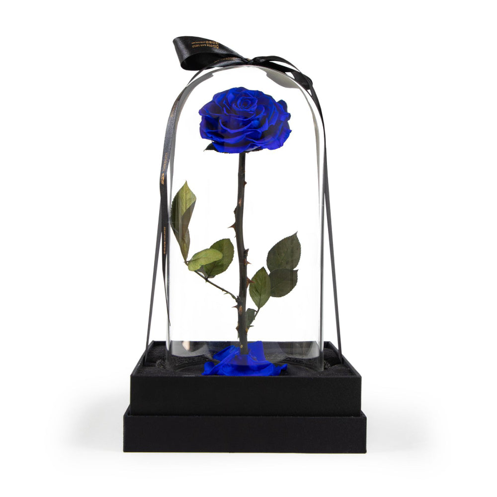 Preserved Rose (Single Rose)