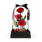Preserved Rose (3 Rose)