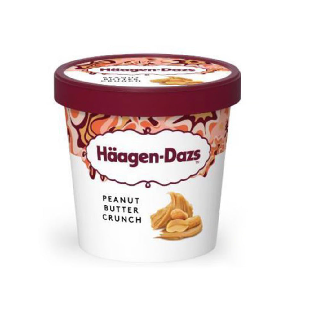 Haagen Dazs Peanut Butter Crunch Ice Cream 460ml