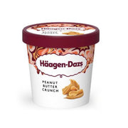 Haagen Dazs Peanut Butter Crunch Ice Cream 460ml