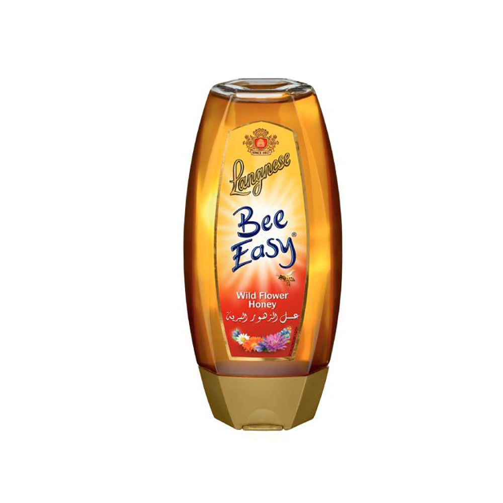 Langnese Bee Easy Wild Flower Honey 500G