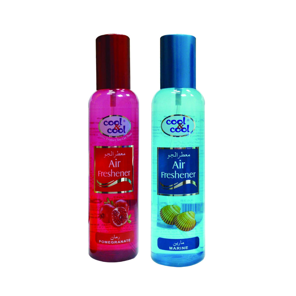 Cool & Cool Air Freshener Assorted Fragrance 2x250ml