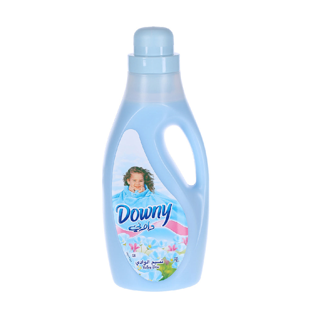 Downy Fabric Softener Valley Dew 2L