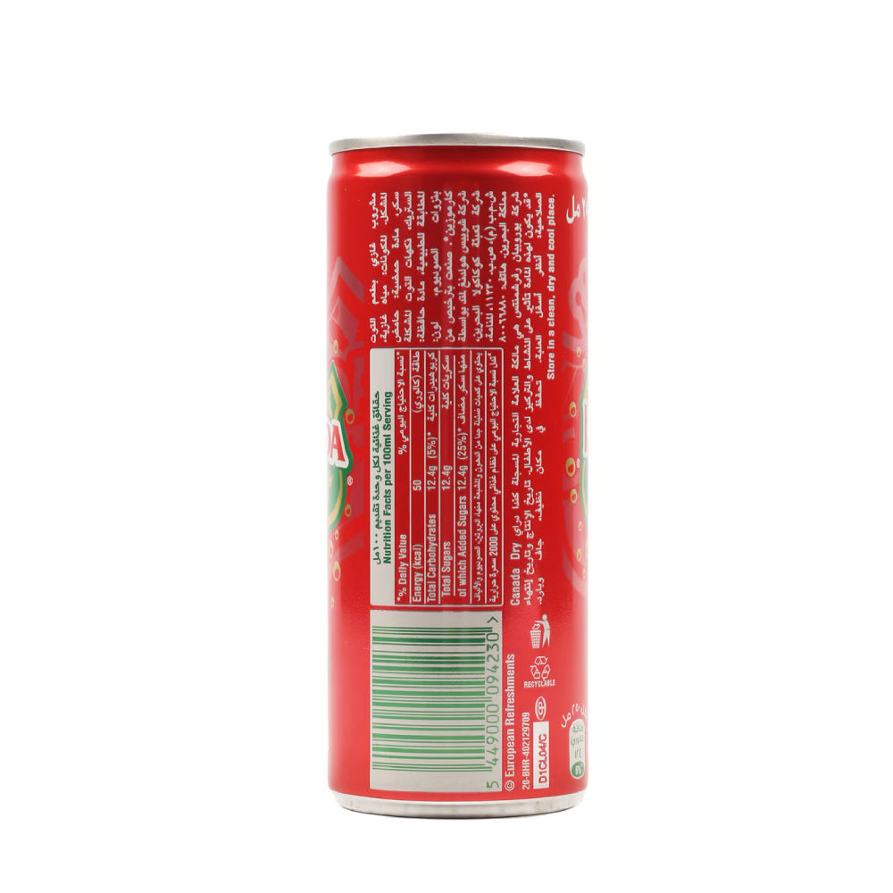 Canada Dry Dana Soft Drink 250ml