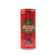 Canada Dry Dana Soft Drink 250ml