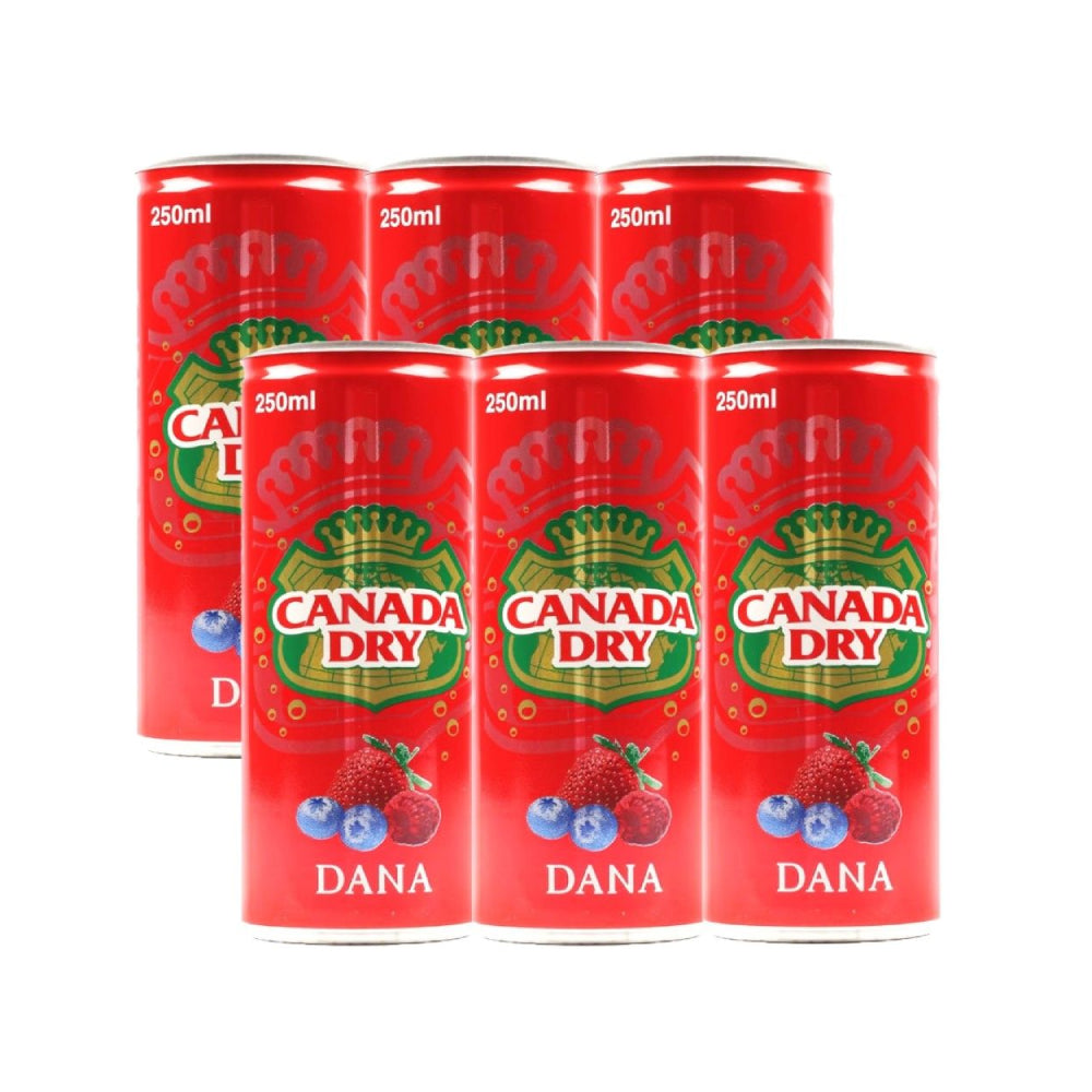 Canada Dry Dana Soft Drink 6x250ml