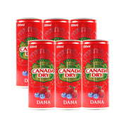 Canada Dry Dana Soft Drink 6x250ml