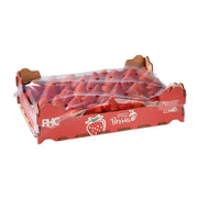 Strawberry South Africa 1 Kg Box