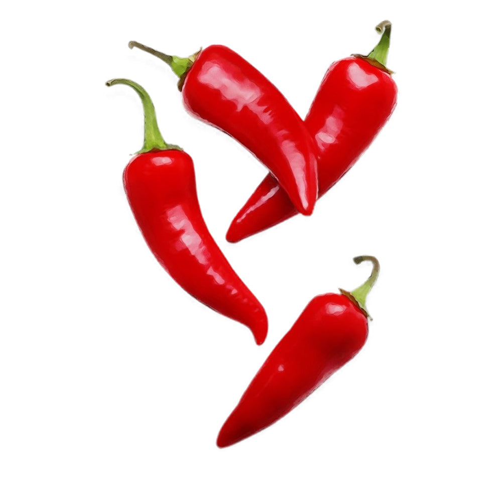 Bird Chili Red South Africa 125g Pack