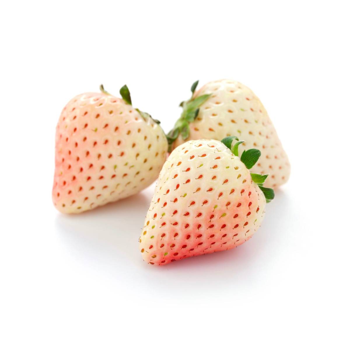 Pico Strawberries White Pearl Egypt 250g Pack