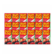 Sun Top Berry Mix 18x125ml