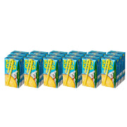 Sun Top Pineapple 18x125ml