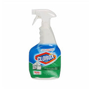 Clorox Multipurpose Cleaner 750ml