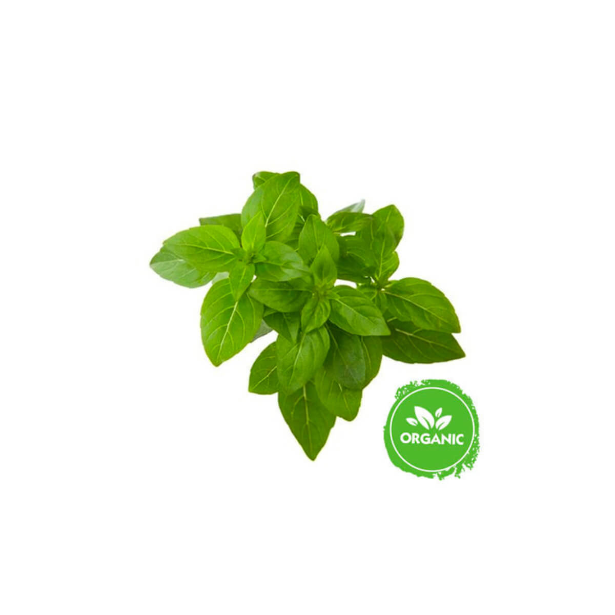 Healthy Farm Organic Basil Leaves Uae 50g Pack