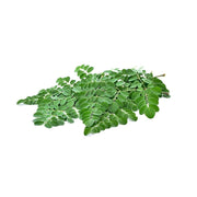 Healthy Farm Organic Moringa Leaves Uae 100g Bunch