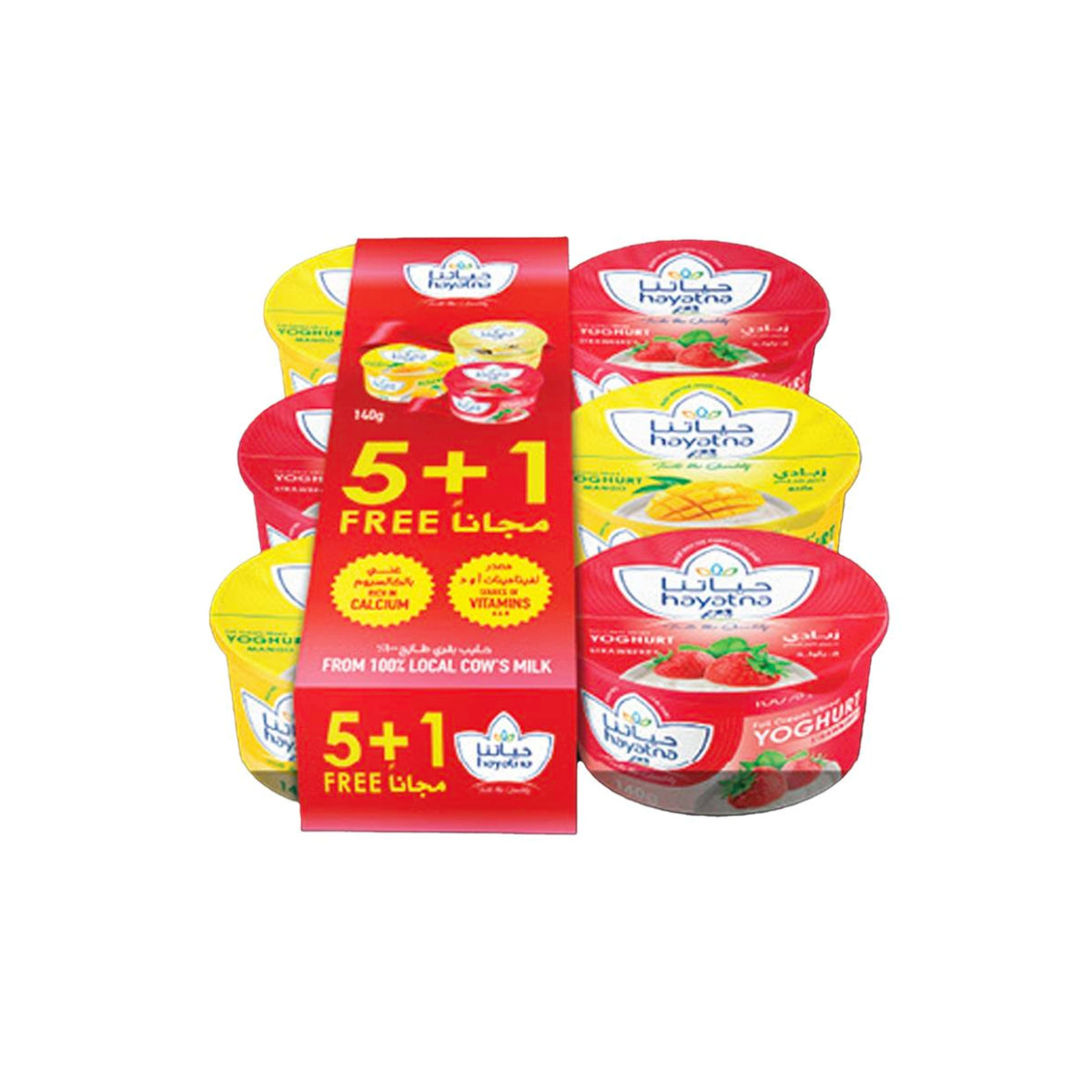 Hayatna Full Cream Stirred Yoghurt Assorted 140g 5 +1 Free