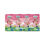 Lacnor Strawberry Milk 24x125ml