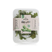 Healthy Farm Baby Kale Uae 100g Pack