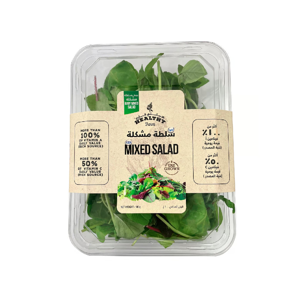Healthy Farm Mix Salad Uae 100g Pack